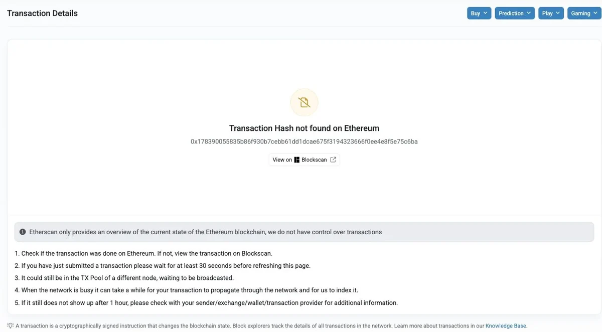 Etherscanでtransaction hash not foundと表示され、別nodeのTX Poolに残る可能性やindex待ちを案内する公開画面